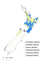 Veronica lanceolata distribution map based on databased records at AK, CHR & WELT.
 Image: K.Boardman © Landcare Research 2022 CC-BY 4.0